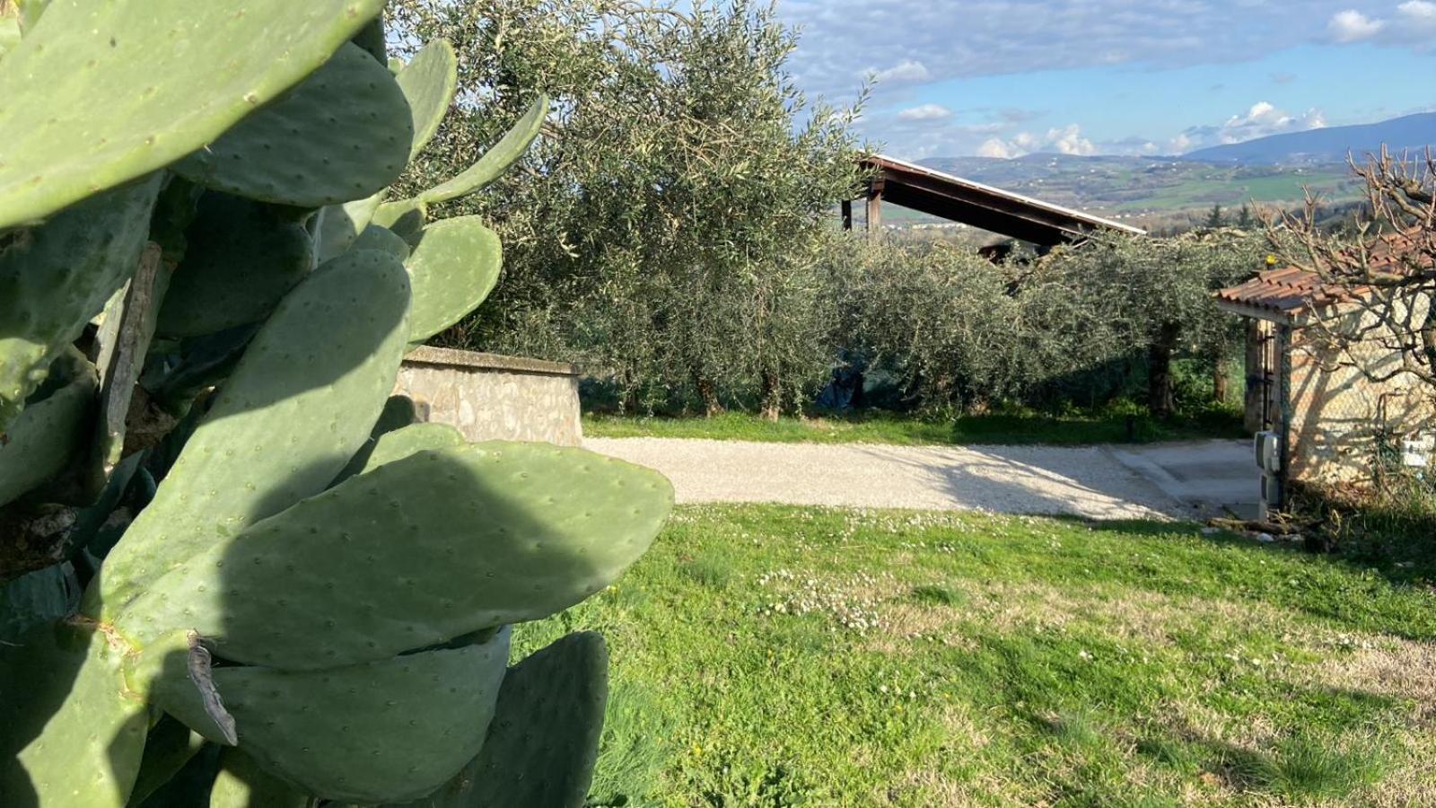 Casa Civico22 Villa Fratta Todina ภายนอก รูปภาพ